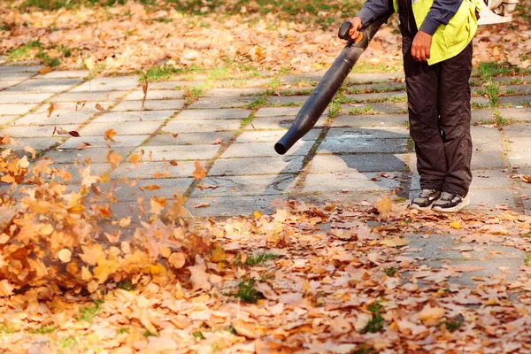 Pet Asphalt's Cleanup Service